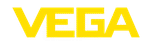 Vega